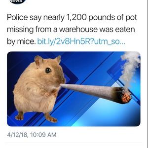 Meet your Posher, Bocaj